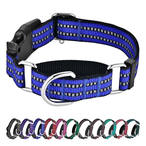 Martingale Hundehalsbänder - Reflektierendes Hundehalsband mit Schnellverschluss-Schnalle Verstellbares Nylon Training Hundehalsband Geeignet für Welpen für Kleine Mittlere Große Hunde von Hikiko