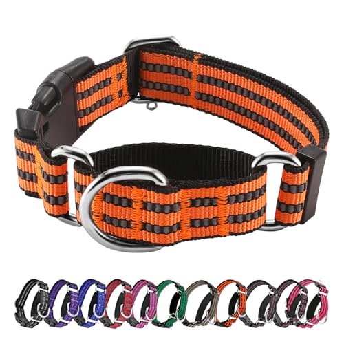 Hikiko Martingale Hundehalsband, reflektierend, Nylon, mit Schnellverschluss-Schnalle, verstellbar, Training, rutschfest, Größe S, Orange von Hikiko