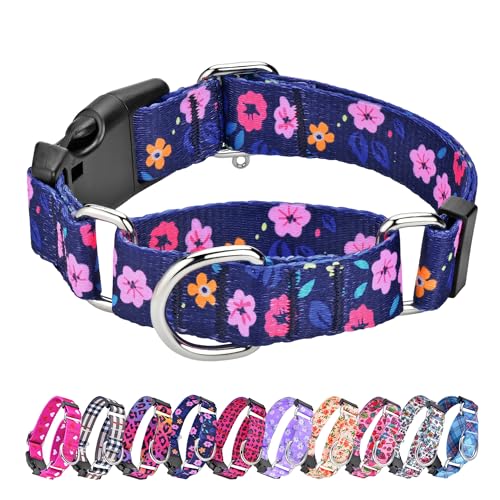 Martingale Hundehalsbänder – Verstellbares, weiches Hundehalsband mit Schnellverschluss-Schnalle. Bunte Blume, mehrfarbig, niedliche Muster für Welpen für kleine, Laufen, Training. von Hikiko