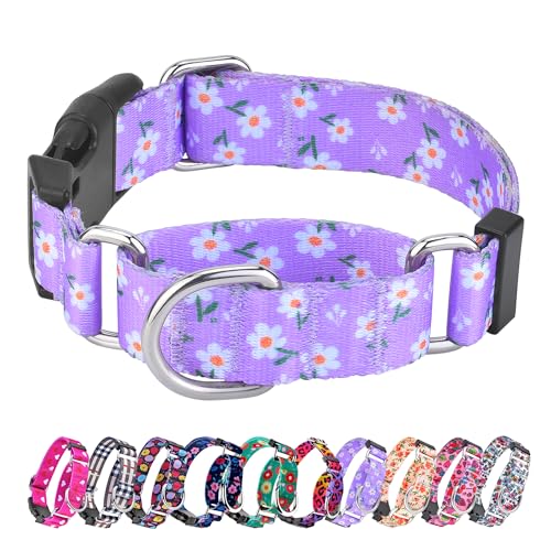 Martingale Hundehalsbänder – Verstellbares, weiches Hundehalsband mit Schnellverschluss-Schnalle. Bunte Blume, mehrfarbig, niedliche Muster für Welpen für kleine, Laufen, Training. von Hikiko