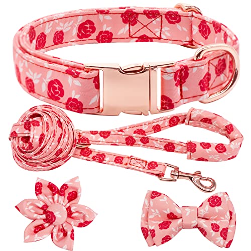 Hilkycton Hundehalsband und Leine, Set mit Blumen-Fliege, für Mädchen, Hundemarke, Metallschnalle, verstellbar, für kleine, mittelgroße und große Hunde, rosa Rosen, Größe L von Hilkycton