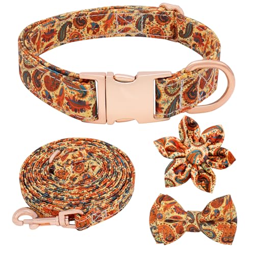 Hilkycton Hundehalsband und Leine, Set mit Fliege, niedliches Hundehalsband für Mädchen mit Blume, gepolsterter Griff, Hundeleine mit Schnellverschluss-Schnalle, Hundehalsband für kleine, mittelgroße von Hilkycton