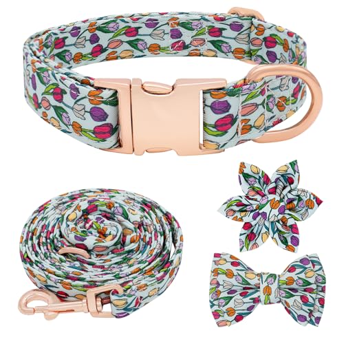 Hilkycton Hundehalsband und Leine, Set mit Fliege, niedliches Hundehalsband für Mädchen mit Blume, gepolsterter Griff, Hundeleine mit Schnellverschluss-Schnalle, Hundehalsband für kleine, mittelgroße von Hilkycton