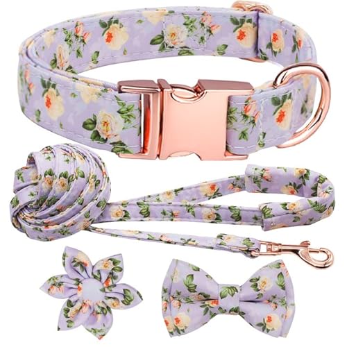 Hilkycton Hundehalsband und Leine Set mit Blume Fliege Mädchen Hundehalsband Metallschnalle Verstellbar für Kleine Mittlere Große Hunde Lila Blume - L von Hilkycton