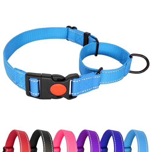 Hilkycton Martingale Halsband für Hunde, Kein Herausrutschen, Reflektierendes Welpenhalsband mit Schnellverschluss-Schnalle, Strapazierfähiges, Verstellbares Hundehalsband mit Sicherheitsverschluss von Hilkycton