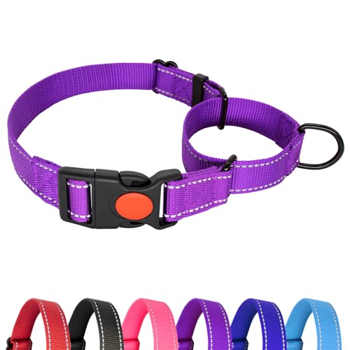 Hilkycton Martingale Halsband für Hunde, Kein Herausrutschen, Reflektierendes Welpenhalsband mit Schnellverschluss-Schnalle, Strapazierfähiges, Verstellbares Hundehalsband mit Sicherheitsverschluss von Hilkycton