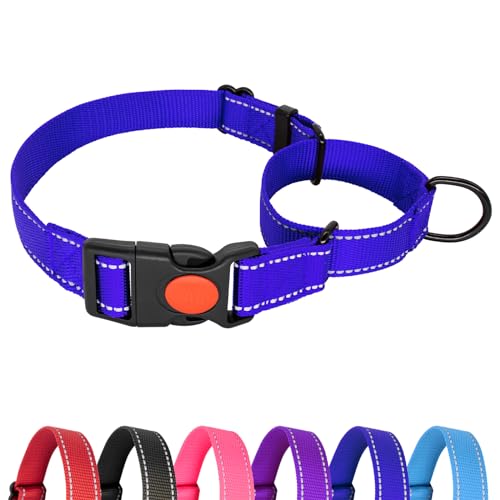 Hilkycton Martingale Halsband für Hunde, Kein Herausrutschen, Reflektierendes Welpenhalsband mit Schnellverschluss-Schnalle, Strapazierfähiges, Verstellbares Hundehalsband mit Sicherheitsverschluss von Hilkycton