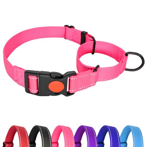 Hilkycton Martingale Halsband für Hunde, kein Herausrutschen, reflektierendes Welpenhalsband mit Schnellverschluss-Schnalle, strapazierfähiges, verstellbares Hundehalsband mit Sicherheitsverschluss von Hilkycton