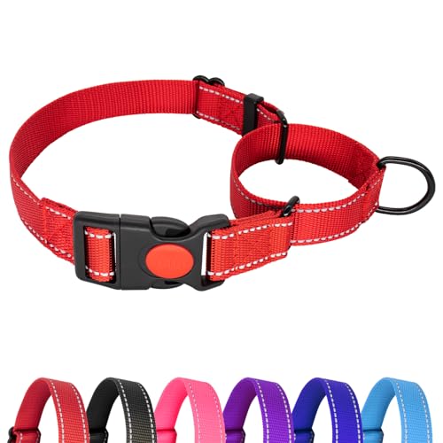 Hilkycton Martingale Halsband für Hunde, Kein Herausrutschen, Reflektierendes Welpenhalsband mit Schnellverschluss-Schnalle, Strapazierfähiges, Verstellbares Hundehalsband mit Sicherheitsverschluss von Hilkycton