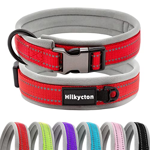 Hilkycton Reflektierendes Nylon gepolstert mit weichem Neopren-Hundehalsband, verstellbare, strapazierfähige, breite Haustierhalsbänder, leicht für mittelgroße und große Hunde, rot-S von Hilkycton