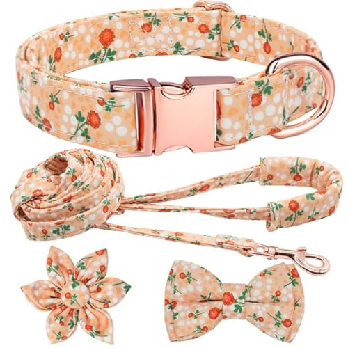 Hilkycton Hundehalsband und Leine, Set mit Blumen-Fliege, Mädchen-Hundehalsband, Metallschnalle, verstellbar, für kleine, mittelgroße und große Hunde, Größe L, Orange von Hilkycton