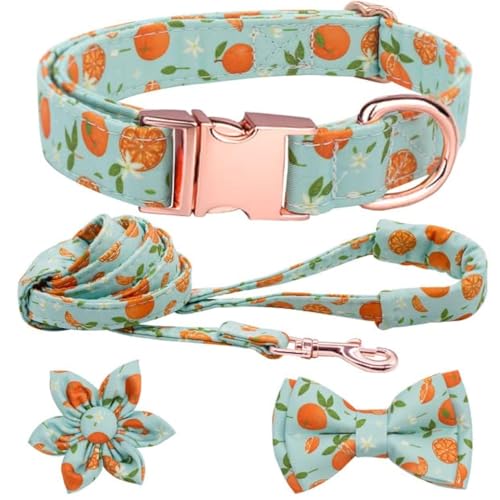 Hundehalsband und Leine, Set mit Blume, Fliege, Mädchen, Hundehalsband, Metallschnalle, verstellbar für kleine, mittelgroße und große Hunde, orange-M von Hilkycton