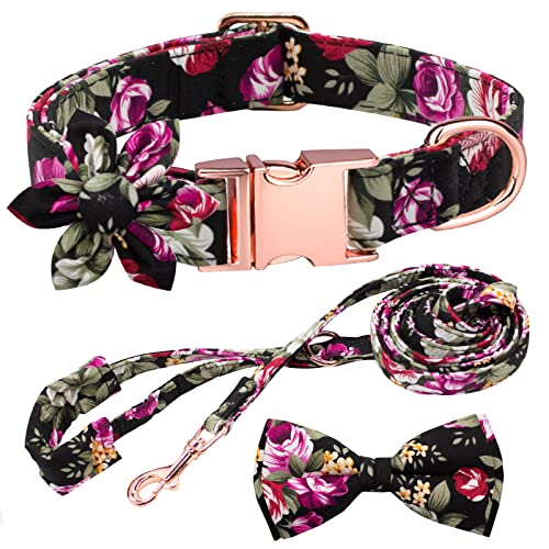 Hilkycton Hundehalsband und Leine, Set mit floraler Fliege, für Mädchen, niedlich, verstellbar, für kleine, mittelgroße und große Hunde, Schwarz, Rose, M von Hilkycton