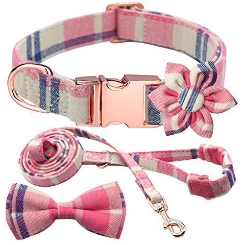 Kariertes Hundehalsband, Leine, Set mit Fliege, verstellbar, niedlich, Welpenhalsband mit strapazierfähiger Metallschnalle, Mädchen, Jungen, mittelgroße und große Hunde, Rosa-M von Hilkycton