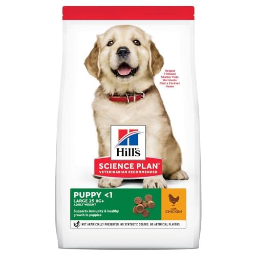 Hills Science Plan Hund Puppy Large Breed Huhn 12 kg von Hill's