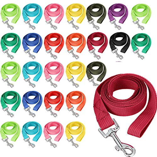 Hundeleine, Nylon, 152 cm, für kleine und mittelgroße Hunde, Welpen, Zugseil für Training, Spielen, Camping oder Hinterhof, 12 verschiedene Farben (leuchtende Farben), 24 Stück von Hillban