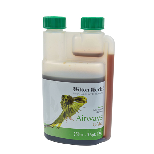 Hilton Herbs Airways Gold for Birds (für Vögel) - 250 ml von Hilton Herbs