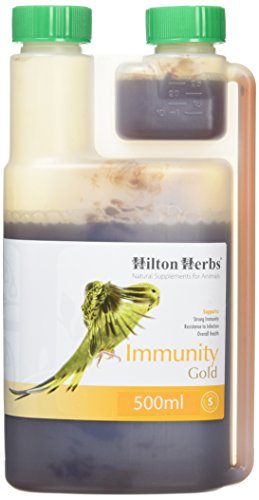 Hilton Herbs Immunity Gold for Birds - 500 ml von Hilton Herbs