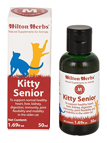 Hilton Herbs Kitty Senior for Cats - 50 ml von Hilton Herbs