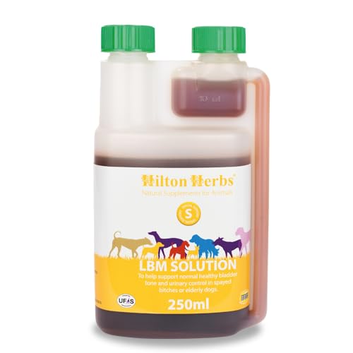 Hilton Herbs LBM Solution for Dogs - 250 ml von Hilton Herbs