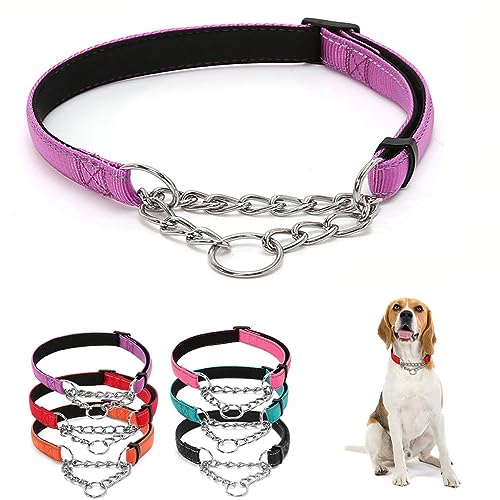 Edelstahlkette Martingale Halsband - Edelstahlkette Reflektierendes Nylongewebe Haustierhalsbänder für kleine, mittelgroße und große Hunde Lila M von HimyBB