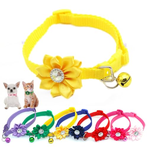 Gelbes Katzenhalsband, mit Blumen-Halskette, XXS, Hundehalsband für Teetasse, kleines Haustier, Mädchen, Welpen, weibliches Kätzchen von HimyBB