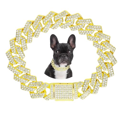 Goldene Kette, Hundehalsband, Strass-Hundehalskette, Welpenhalsband, Glitzerkette, glitzernd, kubanische Glieder für kleine, mittelgroße und große Haustiere, 40,6 cm von HimyBB