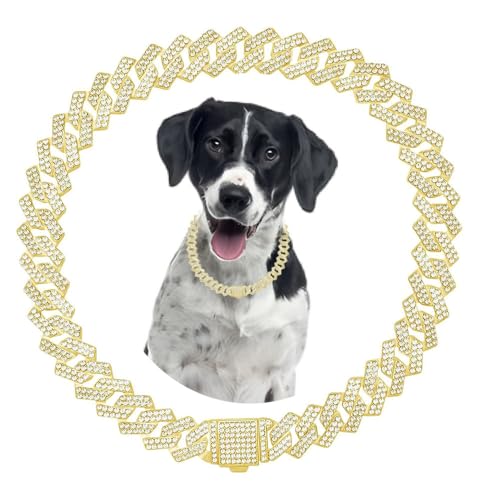 Goldene Kette, Hundehalsband, Strass-Hundehalskette, Welpenhalsband, Glitzerkette, glitzernd, kubanische Glieder für kleine, mittelgroße und große Haustiere, Hunde, Katzen, 20,3 cm Goldene Kette, Hundehalsband, Strass-Hundehalskette, Welpenhalsband, Glitzerkette, glitzernd, kubanische Glieder für kleine, mittelgroße und große Haustiere, Hunde, Katzen, 20,3 cm von HimyBB
