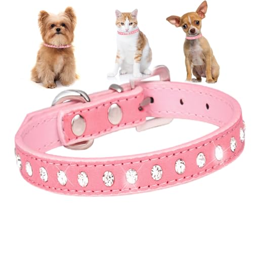 Hundehalsband für kleine Hündinnen, mit Strasssteinen, hübscher Kristall, glitzernd, Glitzer, für Welpen, Größe XXS, XS, S, M, Haustier, Mädchen, Katze, weibliches Kätzchen, Rosa, XXS von HimyBB