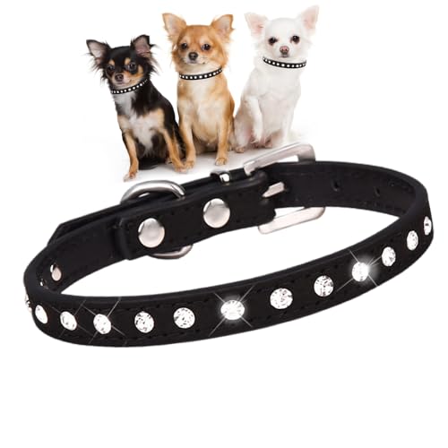 Hundehalsband für kleine Hündinnen, mit Strasssteinen, hübscher Kristall, glitzernd, Glitzer, für Welpen, Größe XXS, XS, S, M, für Mädchen, Katzen, Kätzchen, Schwarz, Größe M von HimyBB