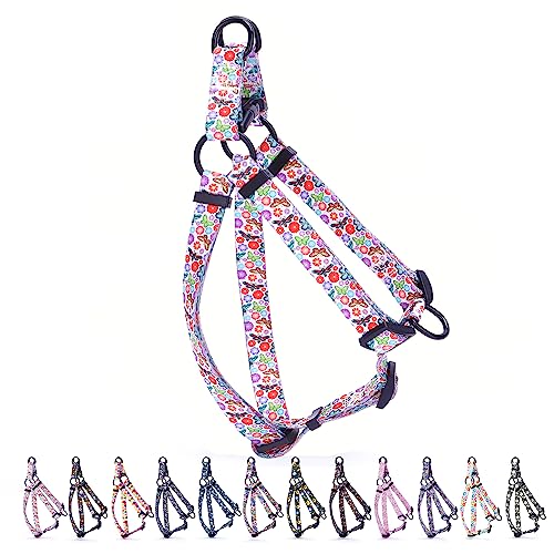 Hundegeschirr, verstellbar, strapazierfähig, kein Ziehen, für kleine, mittelgroße und große Rassen, Rückenclip, verdrehsicher, perfekt für Spaziergänge, Schmetterling, Größe XS Hundegeschirr, verstellbar, strapazierfähig, kein Ziehen, für kleine, mittelgroße und große Rassen, Rückenclip, verdrehsicher, perfekt für Spaziergänge, Schmetterling, Größe XS von HimyBB