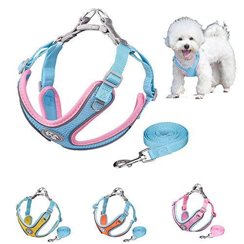 Hundegeschirr und Leine Step-in Mesh Step in Vest Harness für kleine und mittlere Hunde von HimyBB