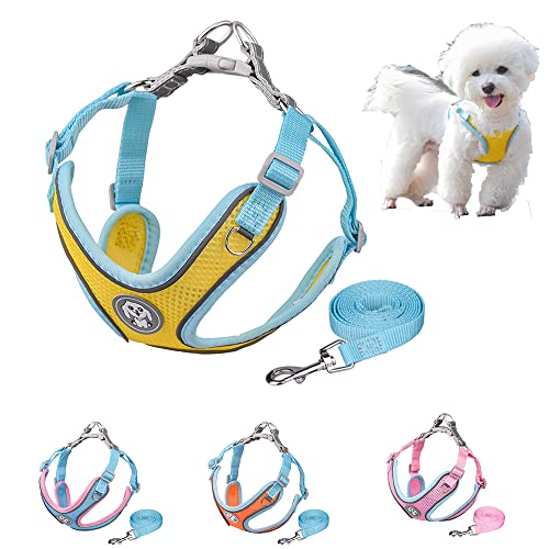 Hundegeschirr und Leine Step-in Mesh Step in Vest Harness für kleine und mittlere Hunde von HimyBB