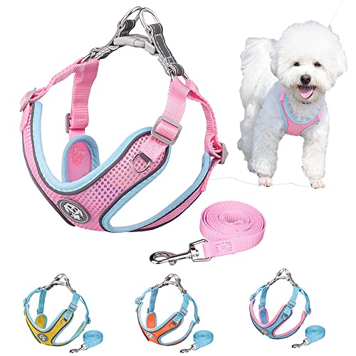 Hundegeschirr und Leine Step-in Mesh Step in Vest Harness für kleine und mittlere Hunde von HimyBB