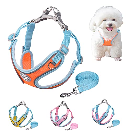 Hundegeschirr und Leine Step-in Mesh Step in Vest Harness für kleine und mittlere Hunde von HimyBB