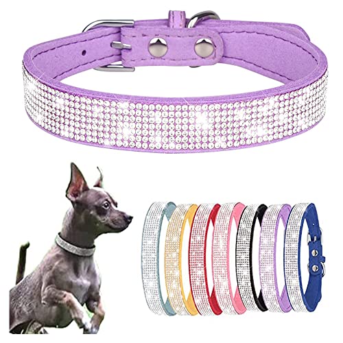 Hundehalsband für kleine Hunde, schillernd, funkelnd, Kristall, Strass, für Welpen, Katzen, Haustiere, Größe XXS, XS, S, M, Violett von HimyBB