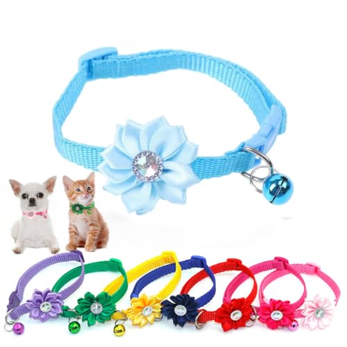 Hundehalsband mit Blume, Nylon-Schnalle, Schnellverschluss, Welpenhalsbänder für kleine Haustiere, männliche Hunde, Jungen, Katzen, Kätzchen, Tiere, Hellblau, XS von HimyBB