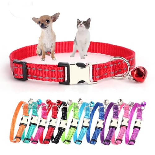 Hundehalsband mit Glöckchen, reflektierendes Sicherheits-Halsband aus weichem Nylon, verstellbar, für XS, kleine Welpen, Hunde, Kätzchen, Rot, Größe XS von HimyBB