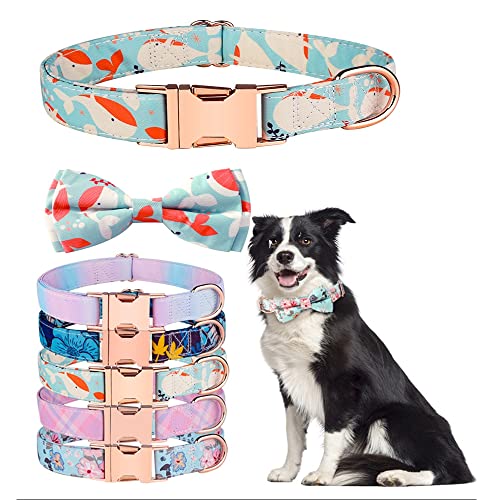 Hundehalsband mit Schleife, niedliche und abnehmbare Fliege für Hunde, verstellbares Hundehalsband für kleine, mittelgroße und große Mädchen und Jungen, Geschenk für Damen oder Herren, Größe S, Orange von HimyBB