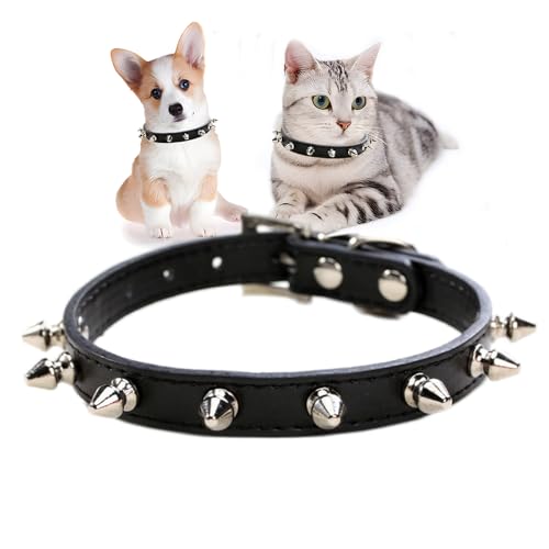 Hundehalsband mit Stacheln, weich, Nieten, Nieten, Katzenhalsband, verstellbar, für Mädchen, Jungen, kleine Rassen, Haustier-Teetasse, klein, Welpen, Kätzchen, Schwarz, Größe XS von HimyBB