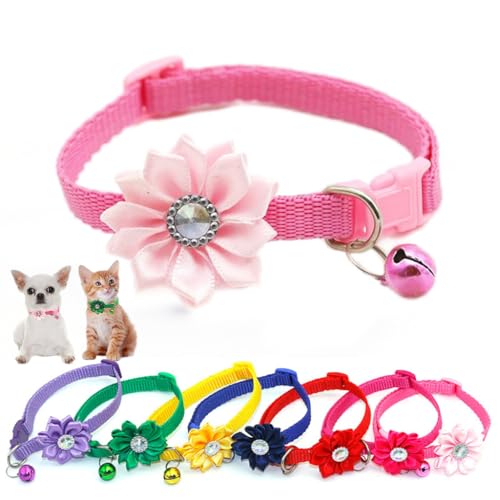 Welpenhalsband mit Blume, Nylon-Schnalle, Katzenhalsband mit Glöckchen, für XS, kleine Haustiere, Hunde, Mädchen, Kätzchen, Jungen, Kleintiere, Rosa, Größe XS von HimyBB