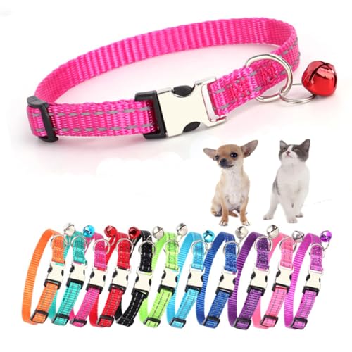 Welpenhalsband mit Glöckchen, reflektierende Nylon-Schnalle, Katzenhalsband mit Glöckchen, für XS, kleine Haustiere, Hunde, Mädchen, Kätzchen, Jungen, Kleintiere, Hot Pink, XS von HimyBB