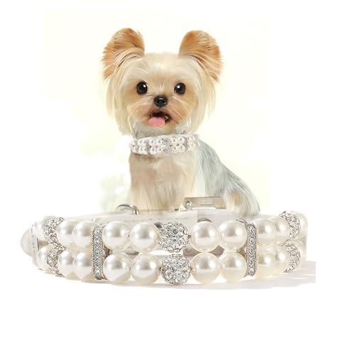 White Pearl Hundehalsbänder für kleine Hunde, Mädchen, Perlen-Katzenhalsband, PU-Leder, Hundehalskette mit Kristalldiamant-Strass, für Welpen, Kätzchen, XS, kleine, mittelgroße Hunde, Hochzeit und von HimyBB