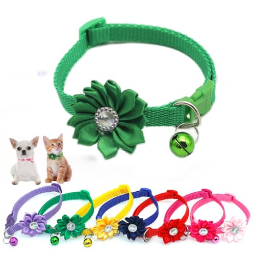 XS Hundehalsband für Mädchen, Blumen-Halskette für Chihuahua, Yorkie, Haustiere, Katzen, extra kleine Hunde, weiblich, Welpen, Yorkie, Grün von HimyBB