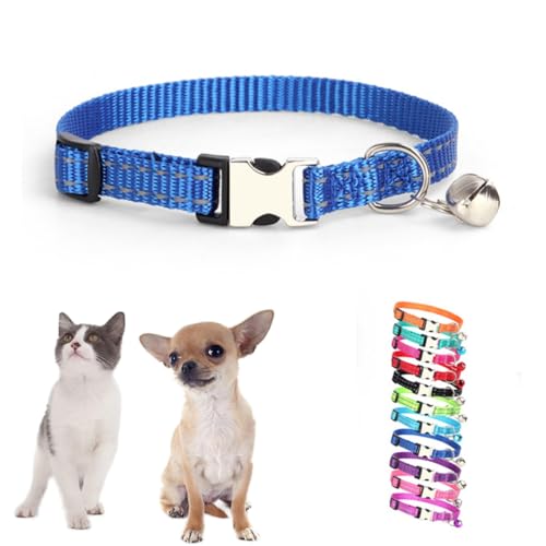 XS Hundehalsband für Teetasse, reflektierendes Nylon, Metallschnalle, Katzenhalsband mit Glöckchen für XS, kleine Haustiere, Hunde, Mädchen, Kätzchen, Jungen, Kleintiere, Blau, Größe XS von HimyBB