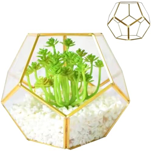 Glasterrarium Glaspflanzenterrarium 7,1x7,1x5,5 Zoll geschweißtes Fünfeck-Glasterrarium mit Tür geometrisches geschlossenes Terrarium für Farne Sukkulenten Pflanzen Messing von Hintyne