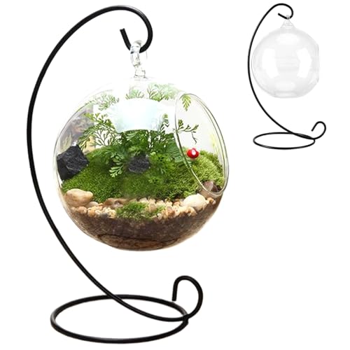 Luftpflanzen-Terrarium mit schwarzem Eisenständer durchsichtige Glasterrarien für Pflanzen hängendes lustiges DIY-Luftpflanzen-Terrarium-Kit für Luftpflanzen saftige kleine Pflanzen von Hintyne