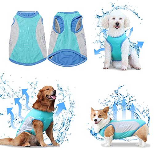 Hunde Kühlweste Atmungsaktiv Mesh Hundejacke Sommer Cool und Bequem Hundemantel von Hipetime