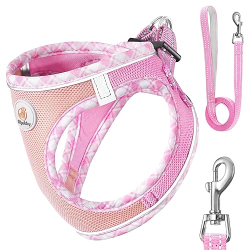 Hipubby Hundegeschirr mit Leine: Step-in-Welpengeschirr, weiches Netzgewebe, reflektierend, für Spaziergänge, Laufen, Rosa, XS von Hipubby