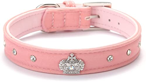 HirrWill BA2022X Niedliches Designer-Hundehalsband mit Strass-Krone, für Welpen, Haustier, Rosa, klein von HirrWill